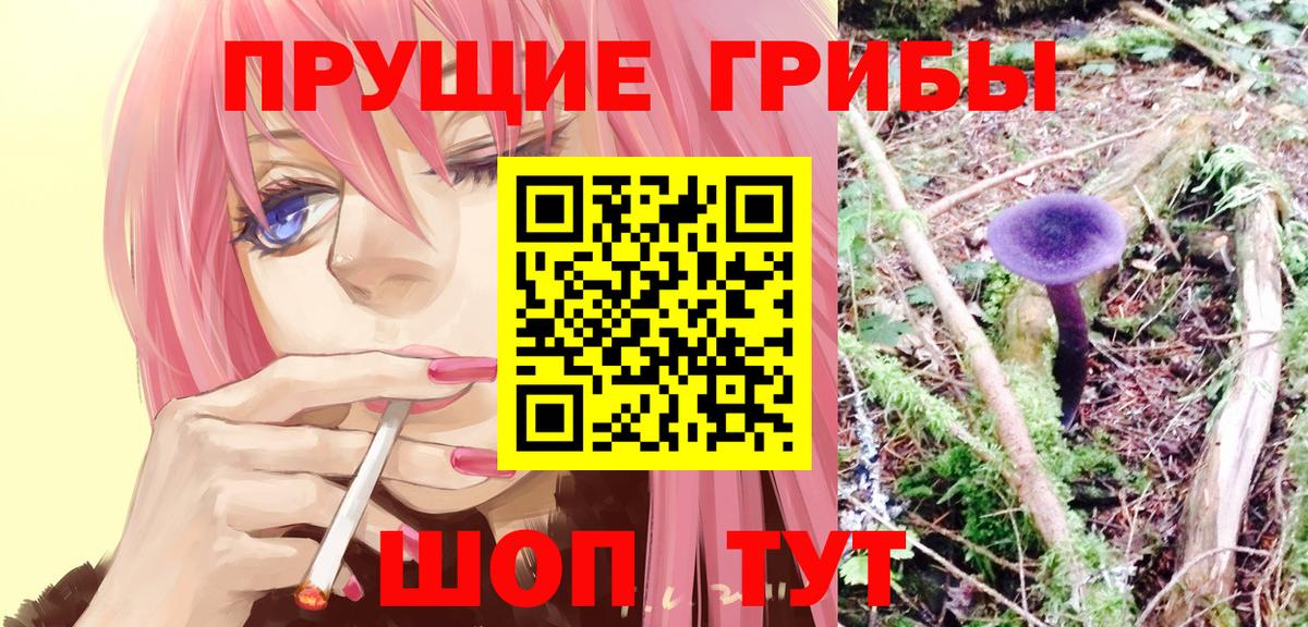 Галлюциногенные грибы прущие грибы  Вход с VPN  Галлюциногенные грибы ЛСД  Ирбит 