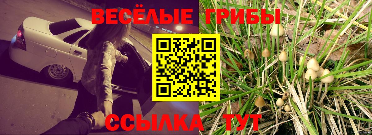 Галлюциногенные грибы мухоморы Ирбит